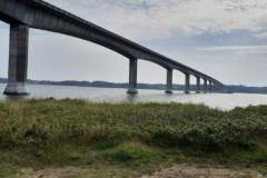 Resized_20240907_1107451