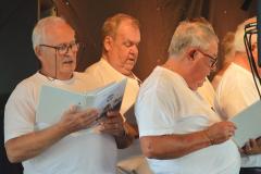 Hals-0082